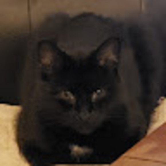 todd007ruby